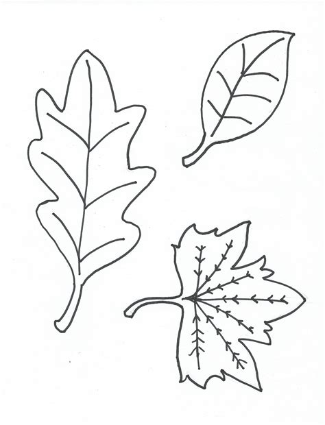 soulmuseumblog leaf coloring sheet