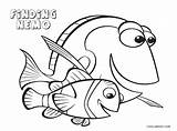 Nemo Cool2bkids Findet Marlin Zum sketch template