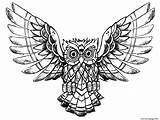Owl Coloring Drawing Pages Owls Advanced Color Printable Raw Kids Adults Online Animals Print Drawings Book Children Beautiful Incredible Justcolor sketch template