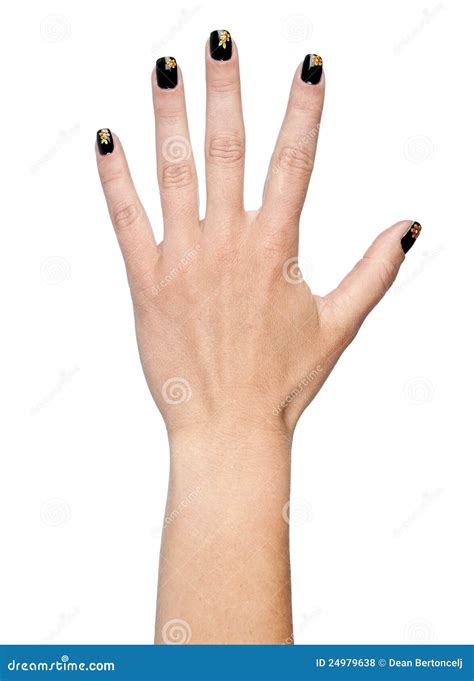 woman hand  manicured nails stock photo image  open nail