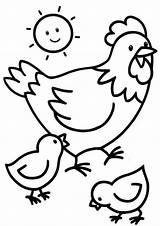 Poule Colouring Colorear Ausmalen Tulamama Poussins Rousse Gallina Poussin Pâques Poulet Enfants Buzz2000 Poules Huhn Ostern Ferme Granja Basteln Paques sketch template