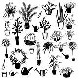 Freisteller Zimmerpflanze Grafiken Symbole Hauspflanzen Skizze sketch template