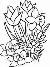 Bloemen Kleurplaten Bloem Volwassenen Voorjaar sketch template