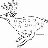 Running Deer Coloring Spotted Baby Wecoloringpage sketch template