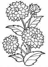 Blumen Malvorlagen Dahlia sketch template