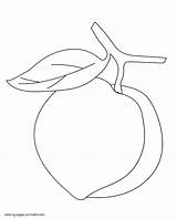 Pages Coloring Preschool Fruits Peach Vegetables Preschoolers Printable Toddlers Ads Google sketch template