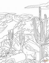 Coloring National Park Coyote Pages Saguaro Howling Florida State Symbols Printable Arizona Acadia Drawing Supercoloring Categories sketch template