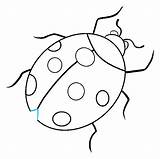 Ladybug Drawing Draw Simple Ladybird Easy Line Drawings Beetle Step Paintingvalley Shell Lines sketch template