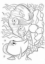 Coloring Nemo Finding Pages Coloring4free Cute Squirt Fish Kids Getcolorings Dory Printable Getdrawings Parentune sketch template