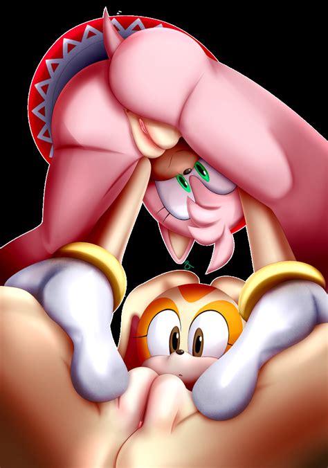 Rasenxoru Amy Rose Cream The Rabbit Sonic Series Absurdres