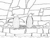 Penguins Robin Coloring Pages Great Gentoo Color sketch template