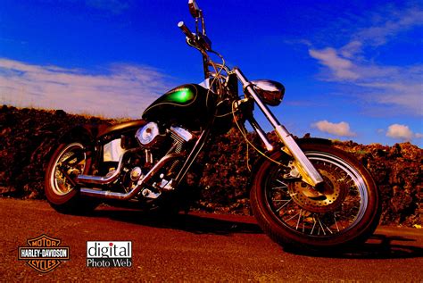 harley davidson motorcycle pixelstalk
