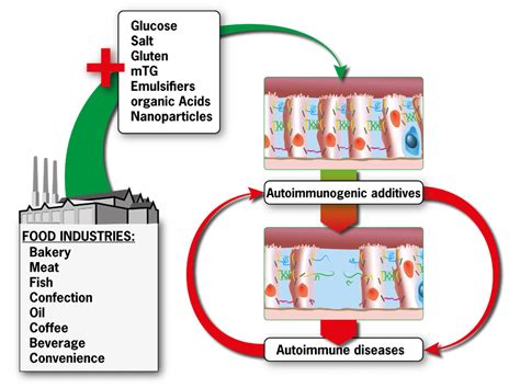 processed foods linked to autoimmune disease technion