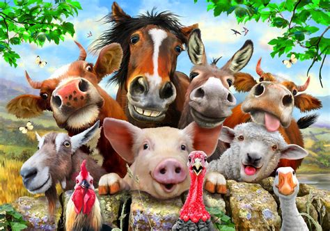 farm animals wallpaper  images