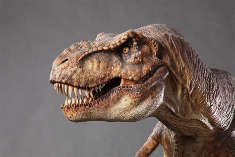 T Rex Maquette From Jurassic Park