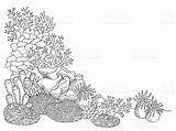 Coral Reef Drawing Underwater Clipart Sea Color Pencil Drawings Easy Landscape Desenho Mar Coloring Illustration Sketch Colorir Preto Branco Do sketch template