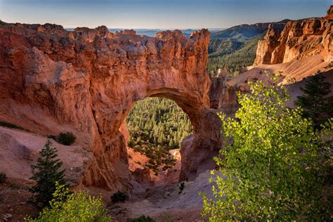 bryce canyon national park images  dave koch photography