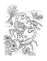 Supercoloring Scorpion Trapdoor Scorpions Sheets Adult sketch template