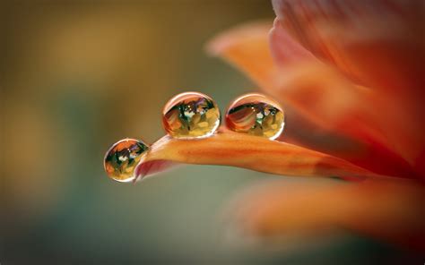 water drop full hd wallpaper and background image 1920x1200 id 424482