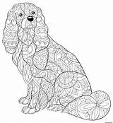 Adulte Teckel Saucisse Antistress Zentangle Relaxing 30seconds Indiaparenting Clifford Getcolorings sketch template