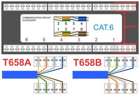 cate wiring diagram  electrical circuit diagram diagram design diagram