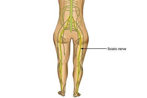 Sciatica Treatment North Vancouver