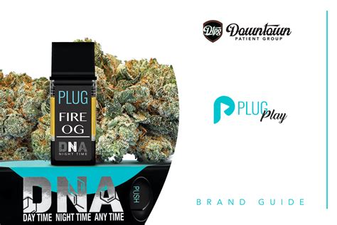 plugplay brand guide exotic flower flavorful vape pods  powerful