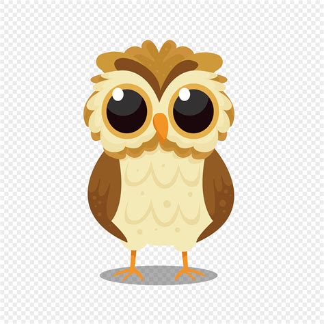 big eyed cute owl png imagepicture   lovepikcom