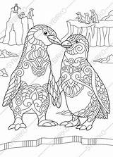 Coloring Pages Penguins Penguin Adult Adults Choose Board sketch template