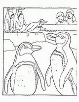 Coloring Penguin Pages Family Baby Colouring Sheet Habitat Winter Library Popular sketch template