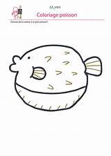Poisson Gros Coloriages Momes Poissons sketch template