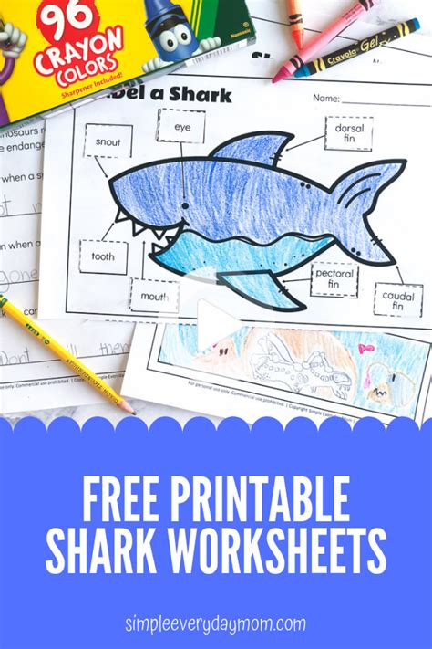printable shark worksheets  teach kids shark activities