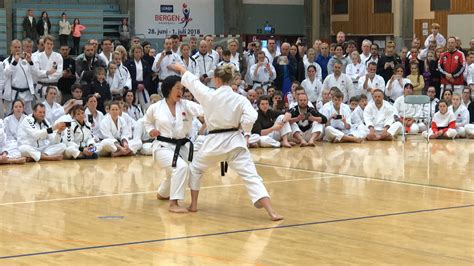 karate shotokan kata kumite tecnicas cinturones  mas