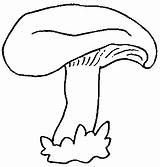 Champignons Paddestoelen Pilz Kleurplaten Funghi Kleurplaat Champignon Malvorlage Grzyby Pilze Kolorowanki Mewarnai Jamur Kolorowanka Grzyb Bergerak Disegno Ausmalbild Gifs Paddestoel sketch template