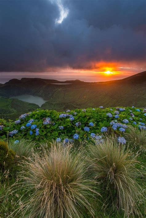 flores island theazores portugal portugalflowerpower azores portugal