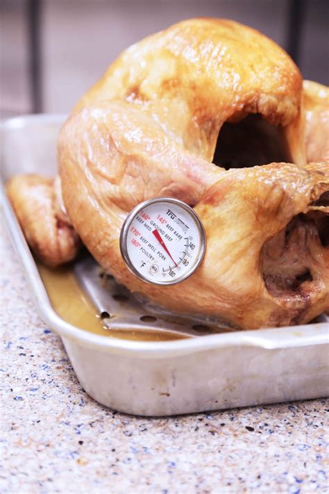 your thanksgiving turkey timeline cooking healthy