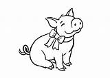 Coloring Pig Pages Cute Print sketch template