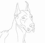 Coloring Dane Great Pages Lineart Danes Drawings Dogs Deviantart Comments sketch template