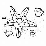 Starfish Coloring Pages Template Floor Sea Ocean Drawing Printable Book Print Getdrawings Templates sketch template