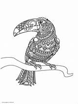 Toucan Coloringbay Coloriage Toucans Oiseaux Justcolor Preschoolers Animal Coloriages sketch template