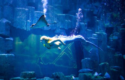 Real Life Mermaid At Paris Aquarium Cn