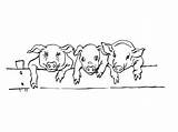 Cochon Cochons Imprime Partage Télécharge sketch template