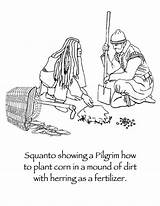 Coloring Squanto Pages Pilgrims Sisters Thanksgiving Corn Three Indians Pilgrim Plant History Wampanoag Clipart Planting American Food Hoops Many Cliparts sketch template