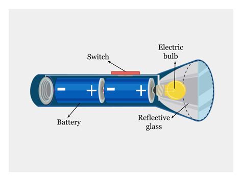 considered   unlabelled diagram   flashlightwhich   parts  responsible