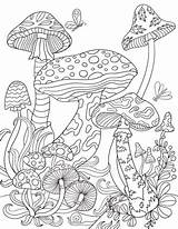 Coloring Pages Mushrooms Printable Adult Mushroom Colouring Coloringgarden Trippy Sheets Fairy Magic Psychedelic Pdf Mandala Garden Adults Color Template Drawings sketch template