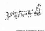 Sled Sledding Husky Iditarod Schlittenhunde Alaskan Tripod Dogsled Templates Schlitten Dogsledding Sheets sketch template