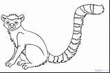 Coloring Lemur Pages Getdrawings sketch template