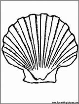 Clam Scallop Seashell Shells Coloringbay sketch template