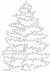Evergreen Getdrawings sketch template