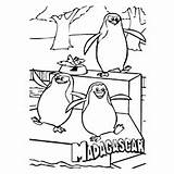 Madagascar Coloring Penguins Kleurplaat Kleurprentje Kleurplaten Printen sketch template